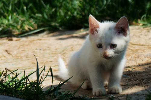 美舰擅闯南沙岛礁邻近海域 中方回应