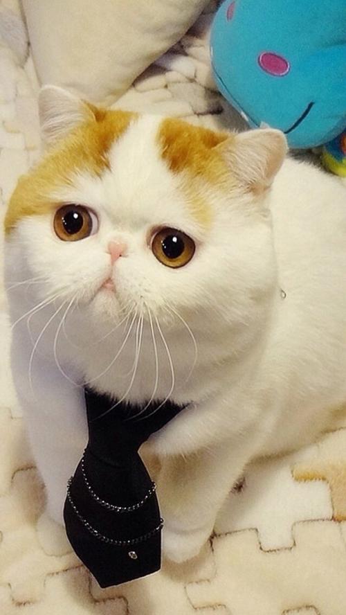 ÀúʷͬÆÚ×îÓÅ!±±¾©½ñÄêÇﶬ³ÖÐøÓÅÁ¼ÌìÊýÒѳ¬40Ìì