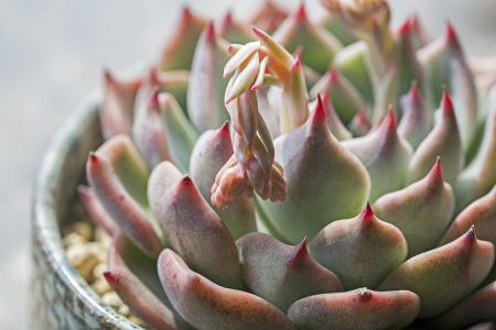 ÎÑÂå¹ÁÒɰ¸£ºÉêÔ©3ÄêÖÕµÃÎÞ×ïÅоö ÕæÐ×ÈÔÊÇÃÕ