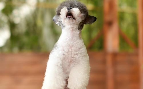 ׼Ƽ+ںϡ12ʿռԴӾ&8594;