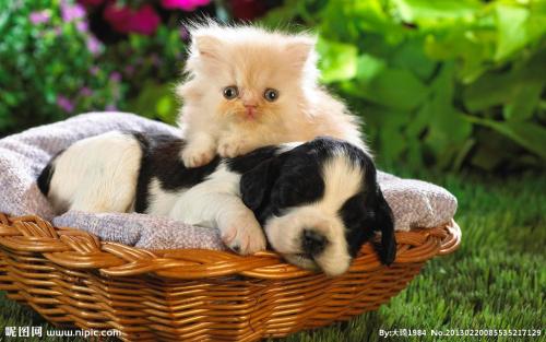 ӡȶس̨ʩϿף ǿ