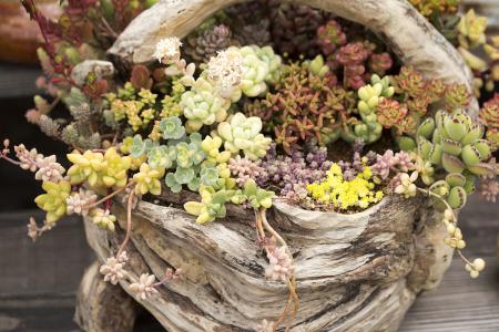 Õã½Ê¡¼Íίͨ±¨8ÆðÎ¥·´ÖÐÑë°ËÏî¹æ¶¨¾«ÉñÎÊÌâ