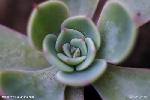 ע¾ҵ̬ְҵѡ չǰ