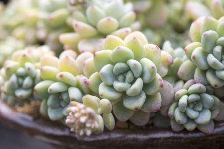 º®³±»ÆÉ«Ô¤¾¯ ¾ÖµØ½µÎ½«³¬12¡æ úµçÆø¹»ÓÃÂð£¿