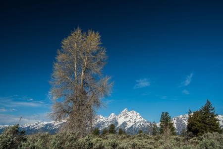 一艘俄罗斯渔船在巴伦支海域沉没造成17人失踪