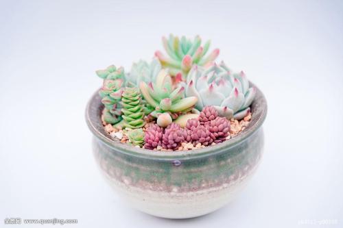 预见2021|针对疫情的财政政策会取消吗?