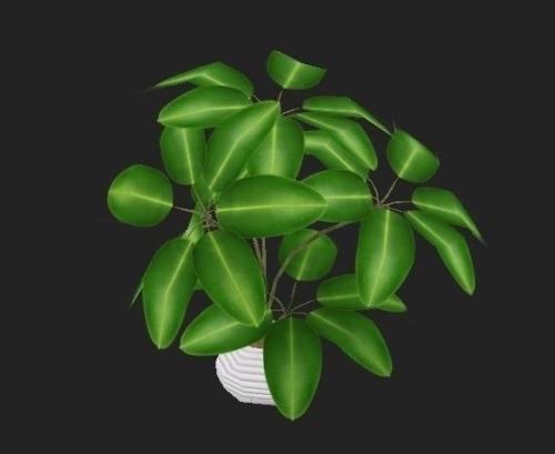 ÌØÀÊÆÕÇ©ÊðÐÂÒ»ÂÖÖ§³ö·¨°¸Ó¦¶ÔÈÕÇ÷¶ñ»¯Ð¹ÚÒßÇé