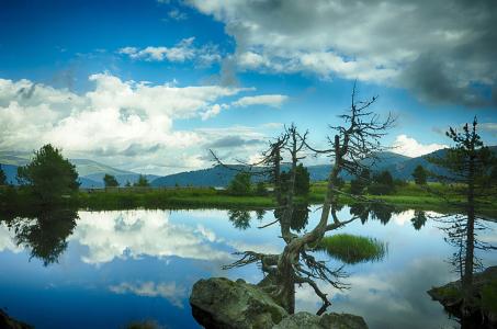 国家邮政局:邮政快递界“先进”和“劳模”亮相了