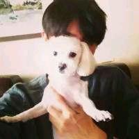 婚姻家庭、遗产继承…最高法发布民法典司法解释