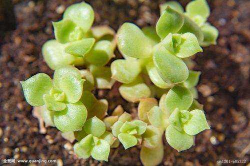 市场监管总局:加强网上销售消费品召回监管